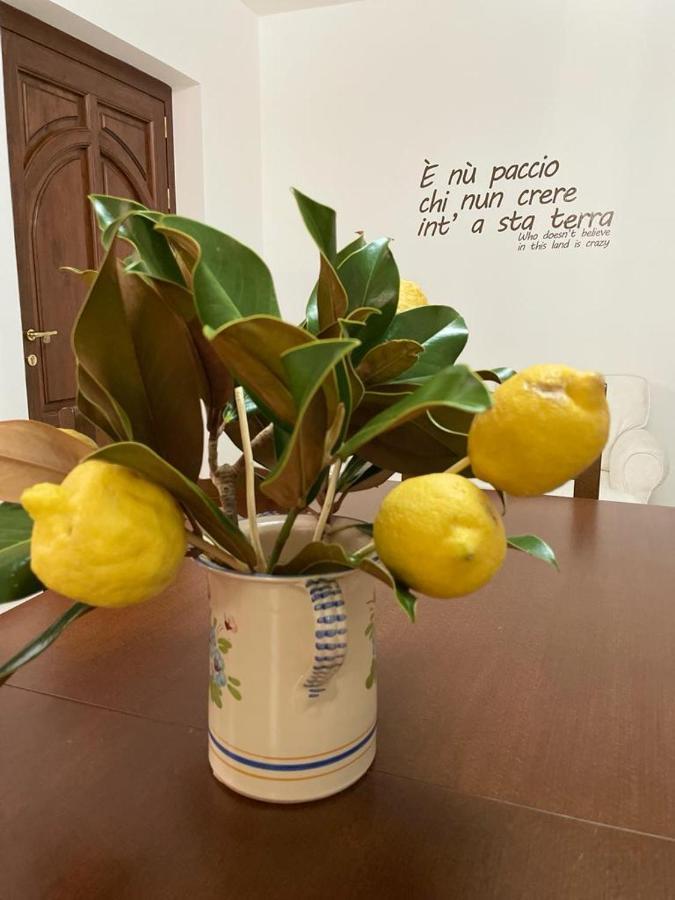 B&B Casa Letizia Trentinara Extérieur photo